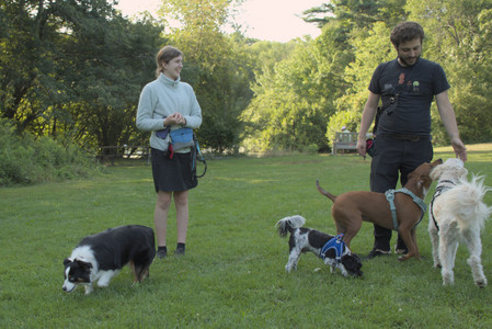 20250807_Thisbe and Dog Park and B and W dogs__DSC0205_.jpg