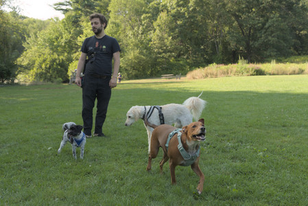 20250807_Thisbe and Dog Park and B and W dogs__DSC0207_.jpg