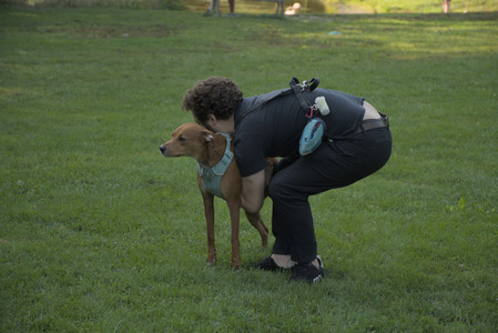 20250807_Thisbe and Dog Park and B and W dogs__DSC0224_.jpg