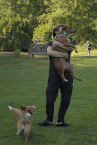 20250807_Thisbe and Dog Park and B and W dogs__DSC0229_.jpg