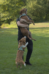 20250807_Thisbe and Dog Park and B and W dogs__DSC0233_.jpg