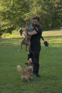 20250807_Thisbe and Dog Park and B and W dogs__DSC0234_.jpg