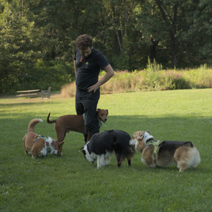 20250807_Thisbe and Dog Park and B and W dogs__DSC0238_.jpg