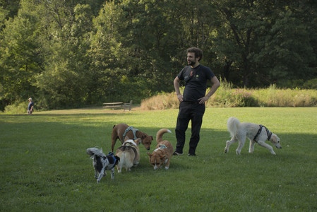 20250807_Thisbe and Dog Park and B and W dogs__DSC0240_.jpg