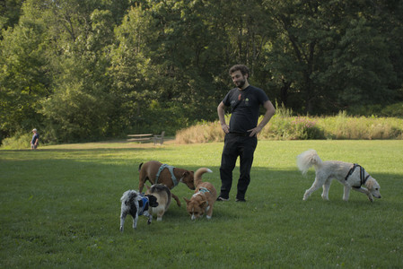 20250807_Thisbe and Dog Park and B and W dogs__DSC0241_.jpg