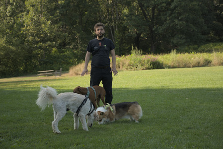 20250807_Thisbe and Dog Park and B and W dogs__DSC0245_.jpg