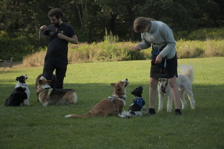 20250807_Thisbe and Dog Park and B and W dogs__DSC0258_.jpg