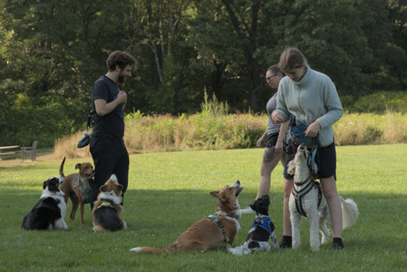 20250807_Thisbe and Dog Park and B and W dogs__DSC0259_.jpg