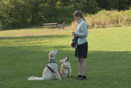 20250807_Thisbe and Dog Park and B and W dogs__DSC0264_.jpg