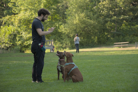 20250807_Thisbe and Dog Park and B and W dogs__DSC0306_.jpg