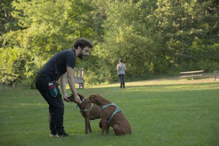 20250807_Thisbe and Dog Park and B and W dogs__DSC0309_.jpg