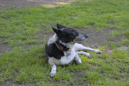 20250808_Dog Park__DSC0020_.jpg