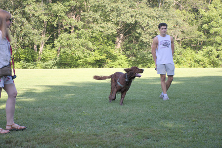20250808_Dog Park__DSC0028_.jpg