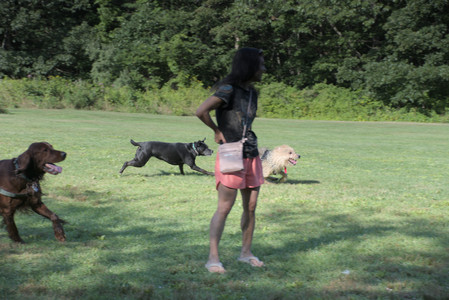 20250808_Dog Park__DSC0031_.jpg