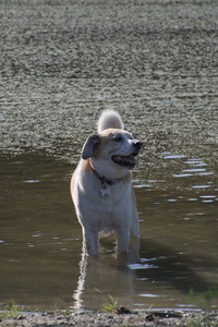 20250808_Dog Park__DSC0063_.jpg