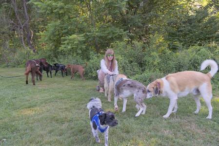 20250808_Dog Park__DSC0075_.jpg