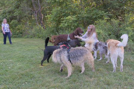 20250808_Dog Park__DSC0077_.jpg