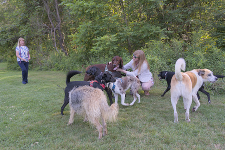 20250808_Dog Park__DSC0078_.jpg