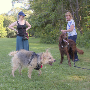 20250808_Dog Park__DSC0079_.jpg