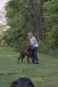 20250808_Dog Park__DSC0081_.jpg