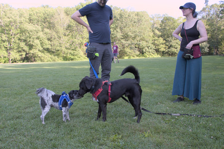 20250808_Dog Park__DSC0082_.jpg