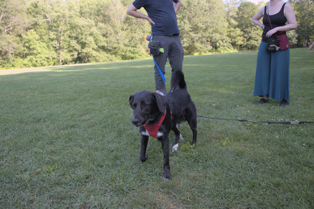 20250808_Dog Park__DSC0084_.jpg