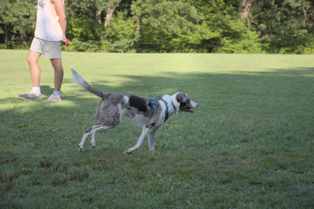 20250808_Dog Park__DSC0088_.jpg