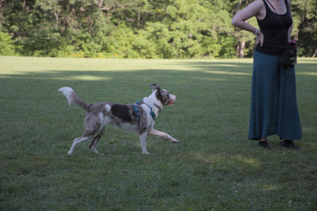 20250808_Dog Park__DSC0090_.jpg