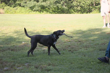 20250808_Dog Park__DSC0094_.jpg