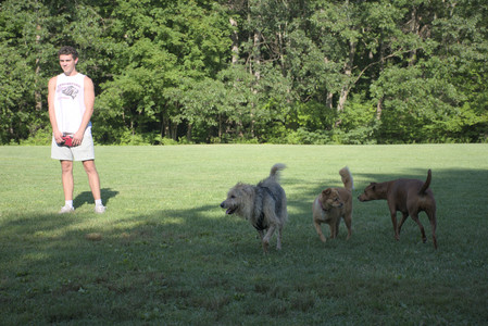 20250808_Dog Park__DSC0102_.jpg