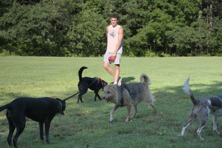 20250808_Dog Park__DSC0103_.jpg