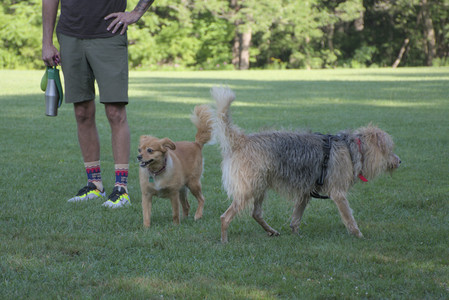 20250808_Dog Park__DSC0109_.jpg