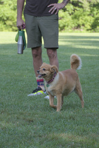 20250808_Dog Park__DSC0110_.jpg