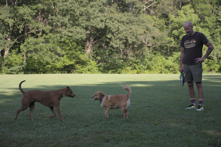 20250808_Dog Park__DSC0111_.jpg