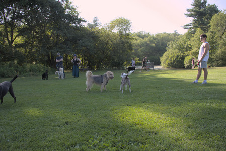 20250808_Dog Park__DSC0115_.jpg