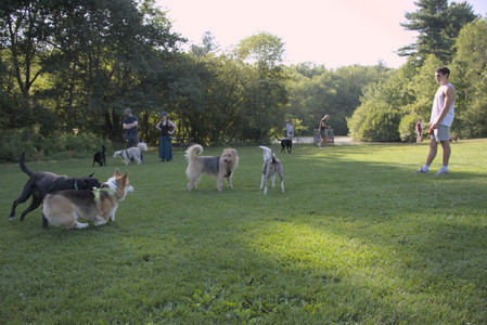 20250808_Dog Park__DSC0116_.jpg