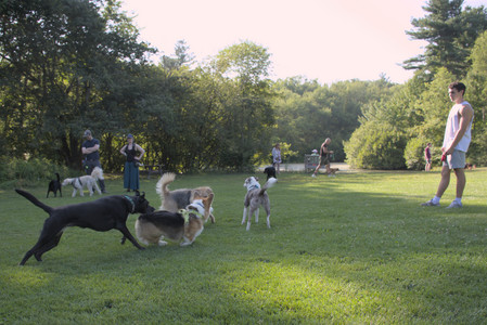 20250808_Dog Park__DSC0117_.jpg