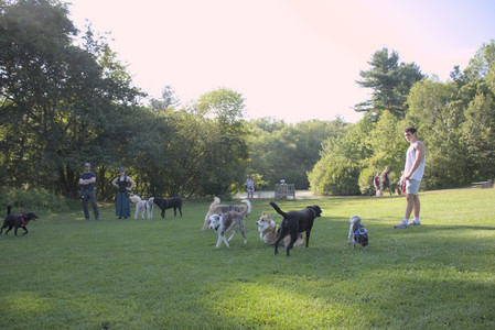 20250808_Dog Park__DSC0121_.jpg