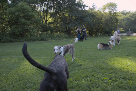 20250808_Dog Park__DSC0123_.jpg