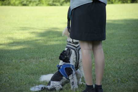 20250808_Dog Park__DSC0135_.jpg