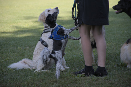 20250808_Dog Park__DSC0147_.jpg