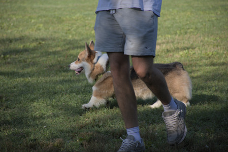 20250808_Dog Park__DSC0154_.jpg