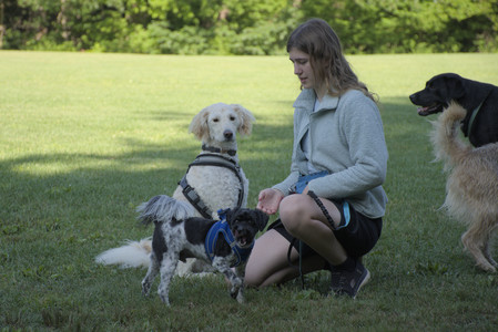20250808_Dog Park__DSC0156_.jpg