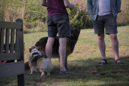 20250808_Dog Park__DSC0167_.jpg