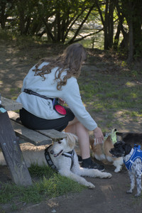 20250808_Dog Park__DSC0168_.jpg