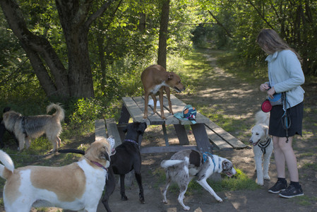 20250808_Dog Park__DSC0172_.jpg