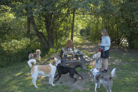 20250808_Dog Park__DSC0173_.jpg