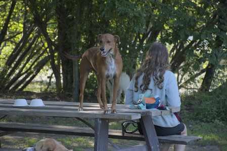 20250808_Dog Park__DSC0179_.jpg