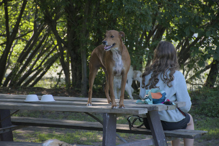 20250808_Dog Park__DSC0180_.jpg