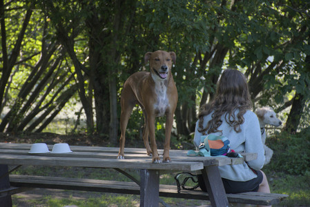 20250808_Dog Park__DSC0181_.jpg